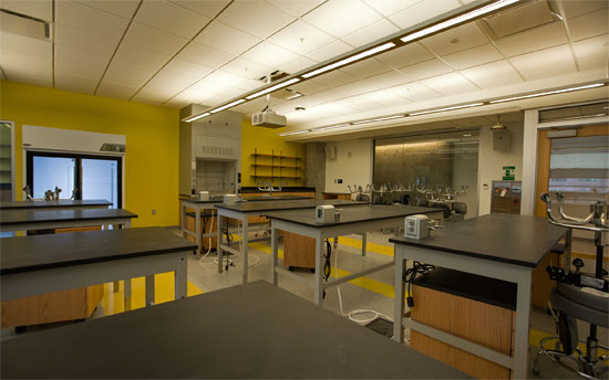 A lab in 20 Somerset