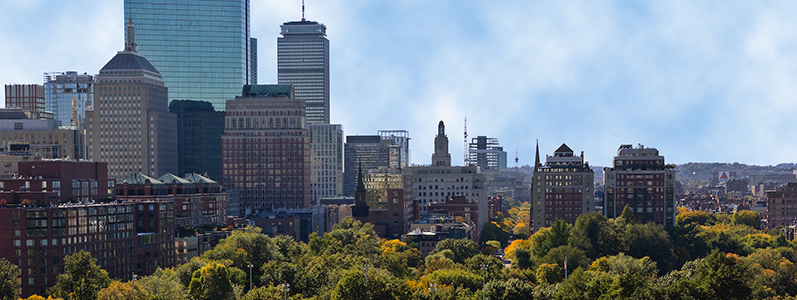 The green canopy of the Boston Common and Boston Gardens in front of the city's downtown skyline.