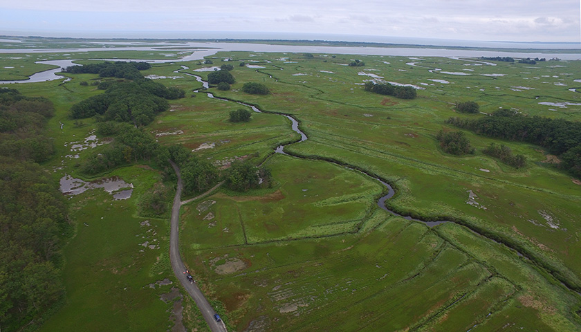 Aerial view of marsh with water running through it and ocean in distance