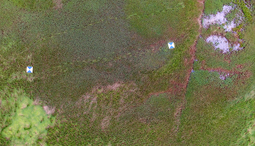 View of marsh from high above shows two of the blue and yellow targets used for geolocation