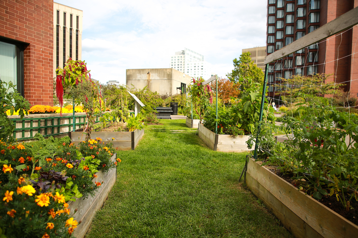 Suffolk students visit the Kendall Square Rooftop Garden in Cambridge