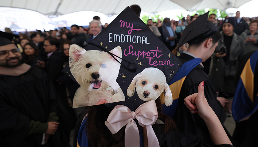 Image of a graduation cap decorated with dogs and the words "My emotional support team"