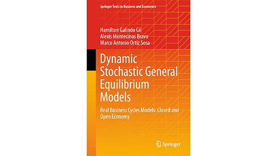 Dynamic Stochastic General Equilibrium Models